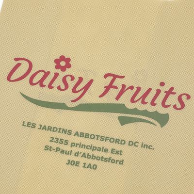 Custom Printed Cheap Non Woven W Cut Carry Bags Wholesale Eco-Friendly Grocery Bags